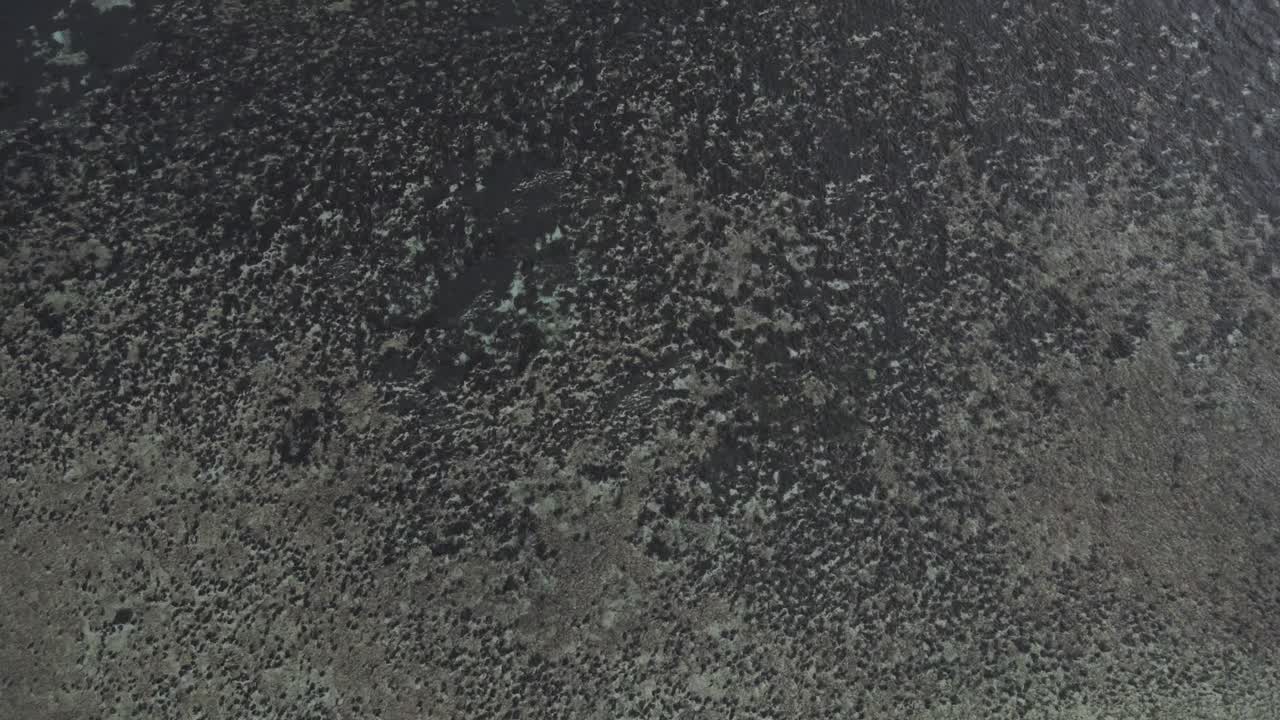 해변에서 해안선의 경계 역할을 하는 주변 암초로 가득한 해안선을 향한 역동적인 공중 촬영