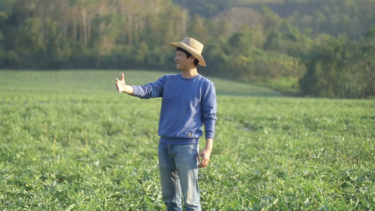 เกษตรกรชาวเอเชียโชว์ไร่เมล่อนของเขา