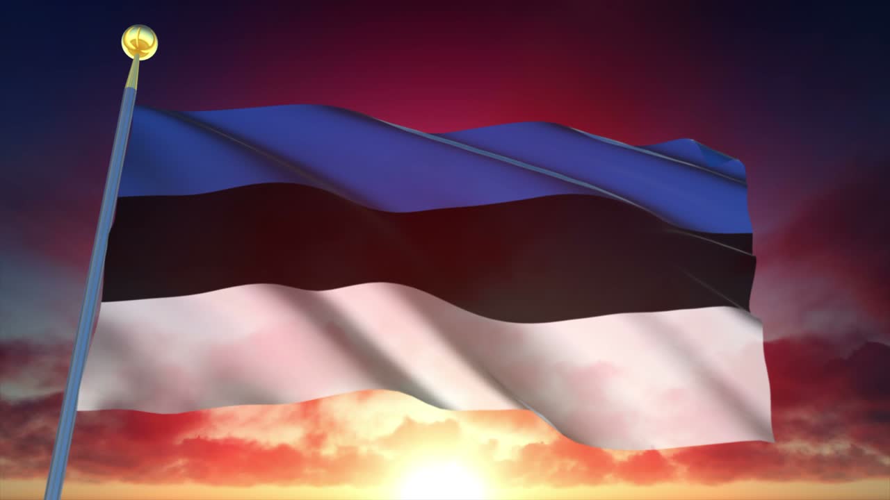 4k 고도로 상세한 에스토니아의 발 loopable