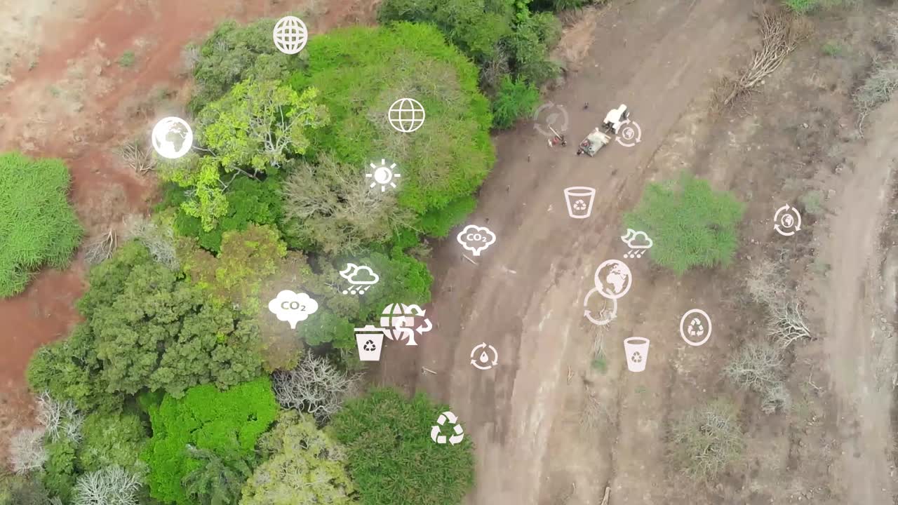 vista aérea futurista de drones de la cobertura forestal