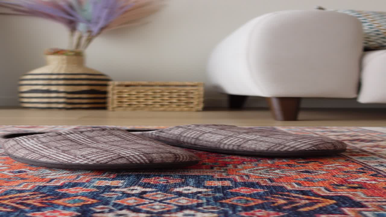 Stylish Slippers in a Cozy Living Room