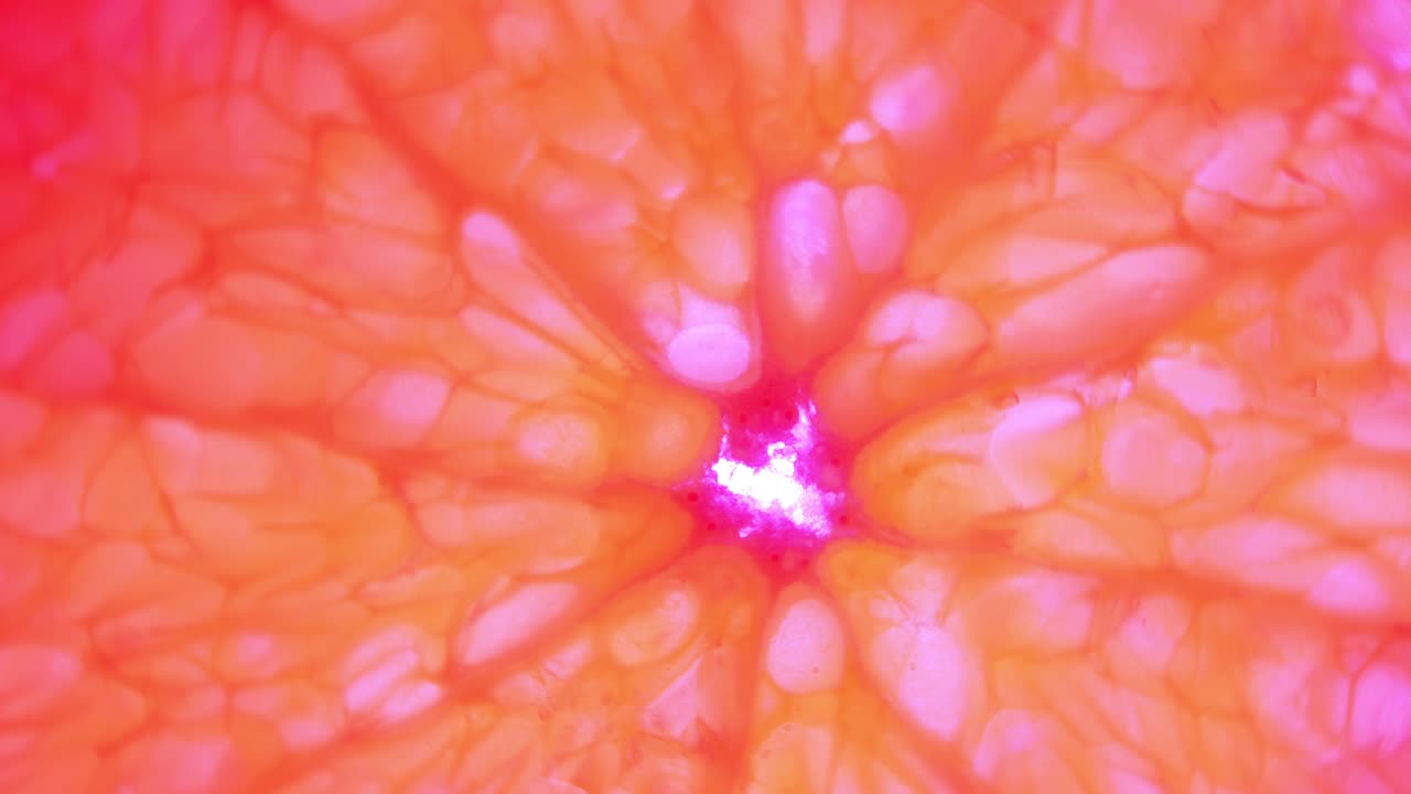 색 배경에 오렌지 슬라이스를 회전시키고, 투명한 오렌지 스라이스 추상적인 배경을 클로즈업합니다.