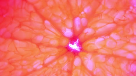 top view rotate of orange slice on white background, close up transparent orange sliced abstract background.