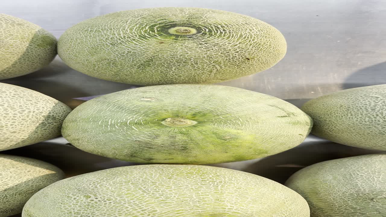 Close Up View of Fresh Green Cantaloupe Melons