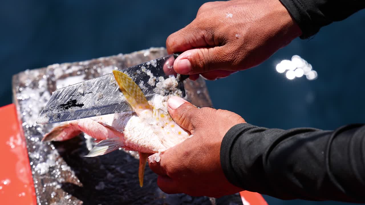 hombre limpiando peces en un barco en phuket