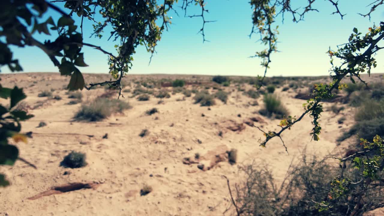 paesaggio arido nel sahara di biskra, in algeria