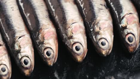 fresh anchovies