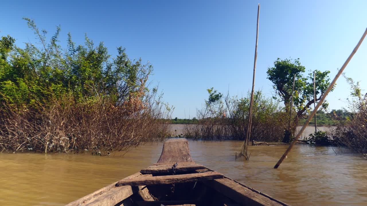 vista desde la proa de una canoa en un lago a través de la vegetación emergente bajo un cielo despejado (close-up)