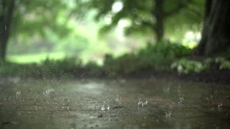 ground level view of raindrops falling in slow motion, background with no people of rain in the forest, selective focus backdrop