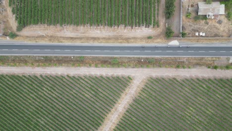 Radfahren-In-Den-Straßen-Von-Calera-De-Tango,-Chile