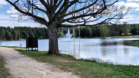 lake with swings in a large tree and fountain in background