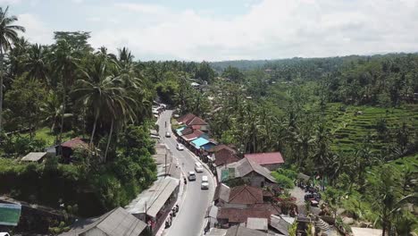 Flying-over-the-road-in-the-jungle