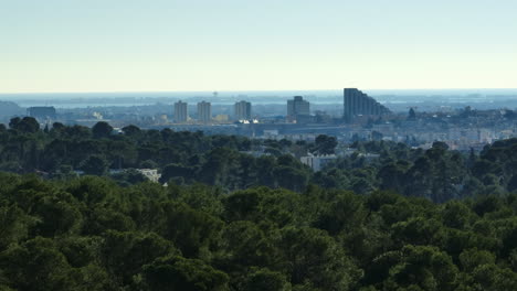 montpellier from above: greenery meets urban structures.