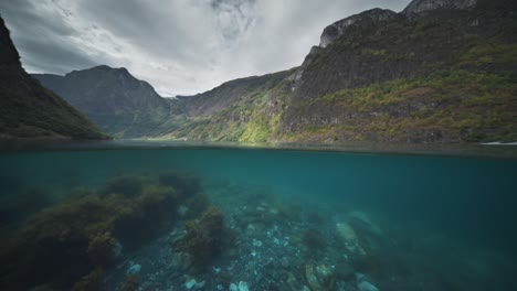 an over-under water shot