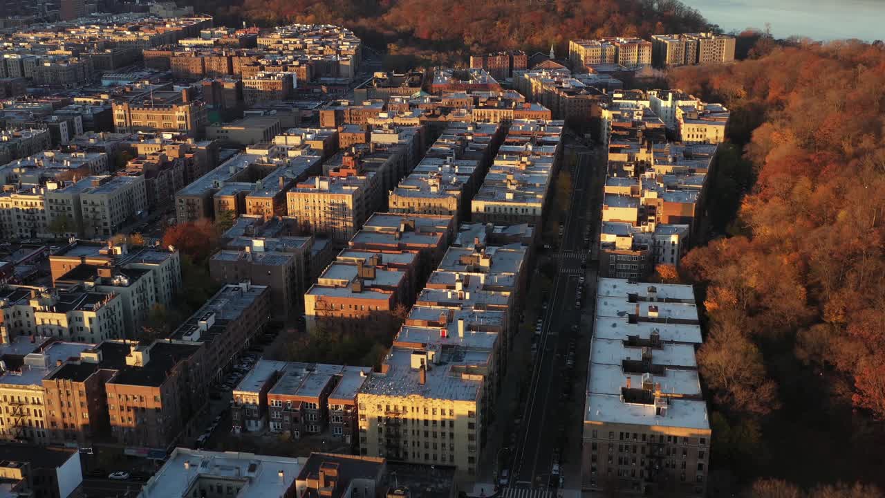 황금 시간에 맨해튼 꼭대기에 있는 인우드 인근 아래에서 비둘기 떼가 맴돌고 있습니다.