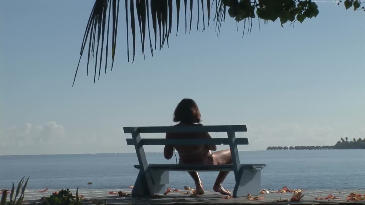 스 ⁇  영상 열대 섬