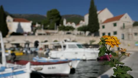 boats in picturesque seaside town harbor, bol, brac, croatia