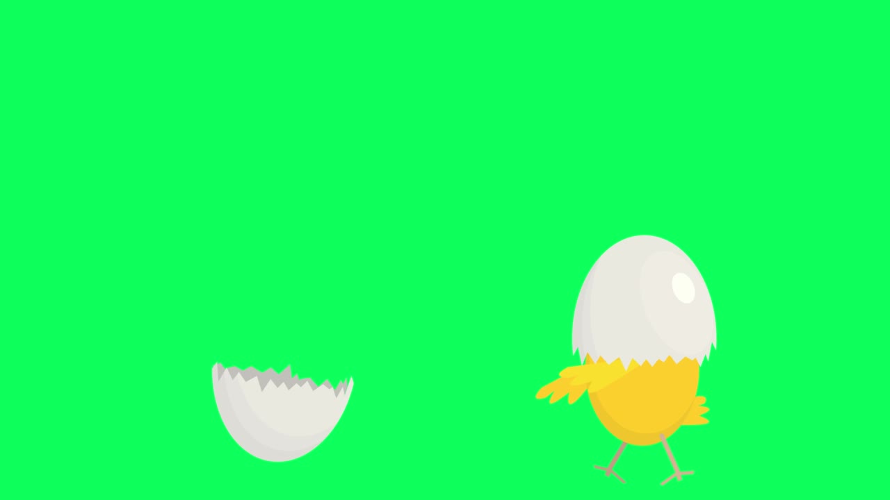 집에서 공황상태