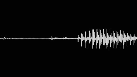 a simple white on black audio visualization effect