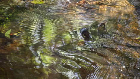 close-up water riffles creating distorted patterns