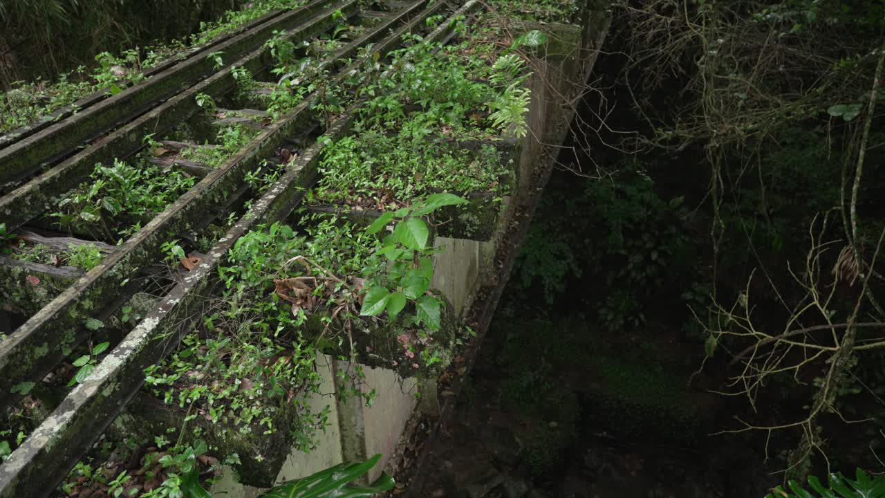 Abandoned rail tracks covered in vegetation moss reclaimed by nature