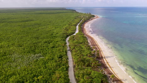 toma aérea amplia de la conducción de automóviles a lo largo de la costa natural cerca de mahahual méxico con un bosque denso y agua clara del océano