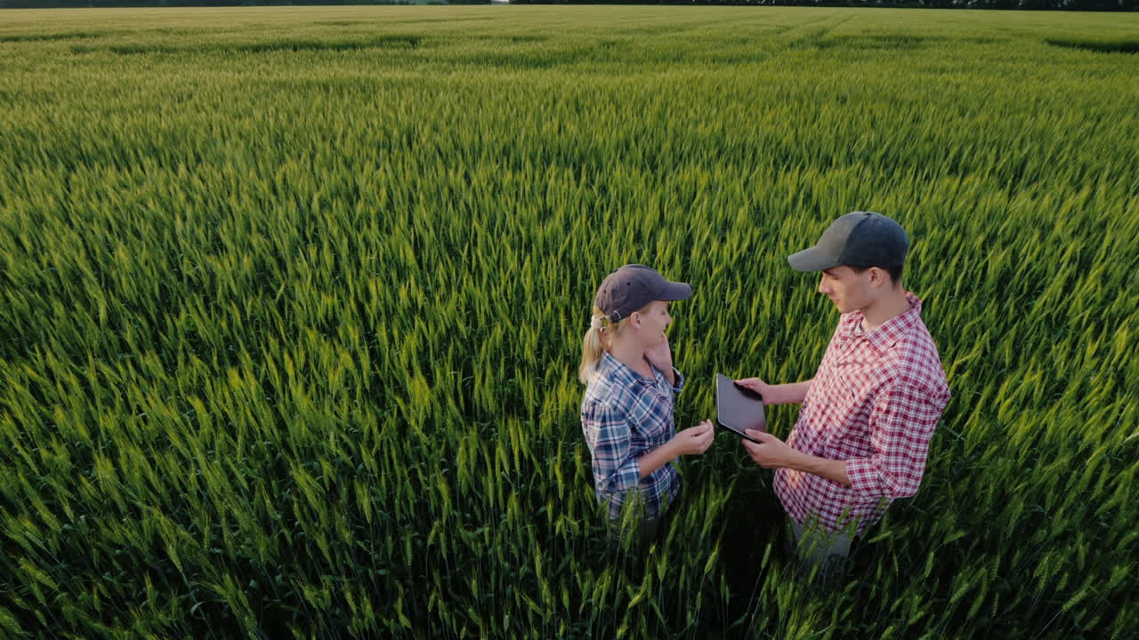 Two Farmers Communicate In A Field Of Wheat The Woman Speaks On The Phone My Husband Uses The Tablet