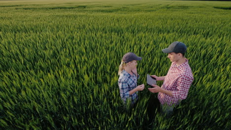 Two-Farmers-Communicate-In-A-Field-Of-Wheat-The-Woman-Speaks-On-The-Phone-My-Husband-Uses-The-Tablet