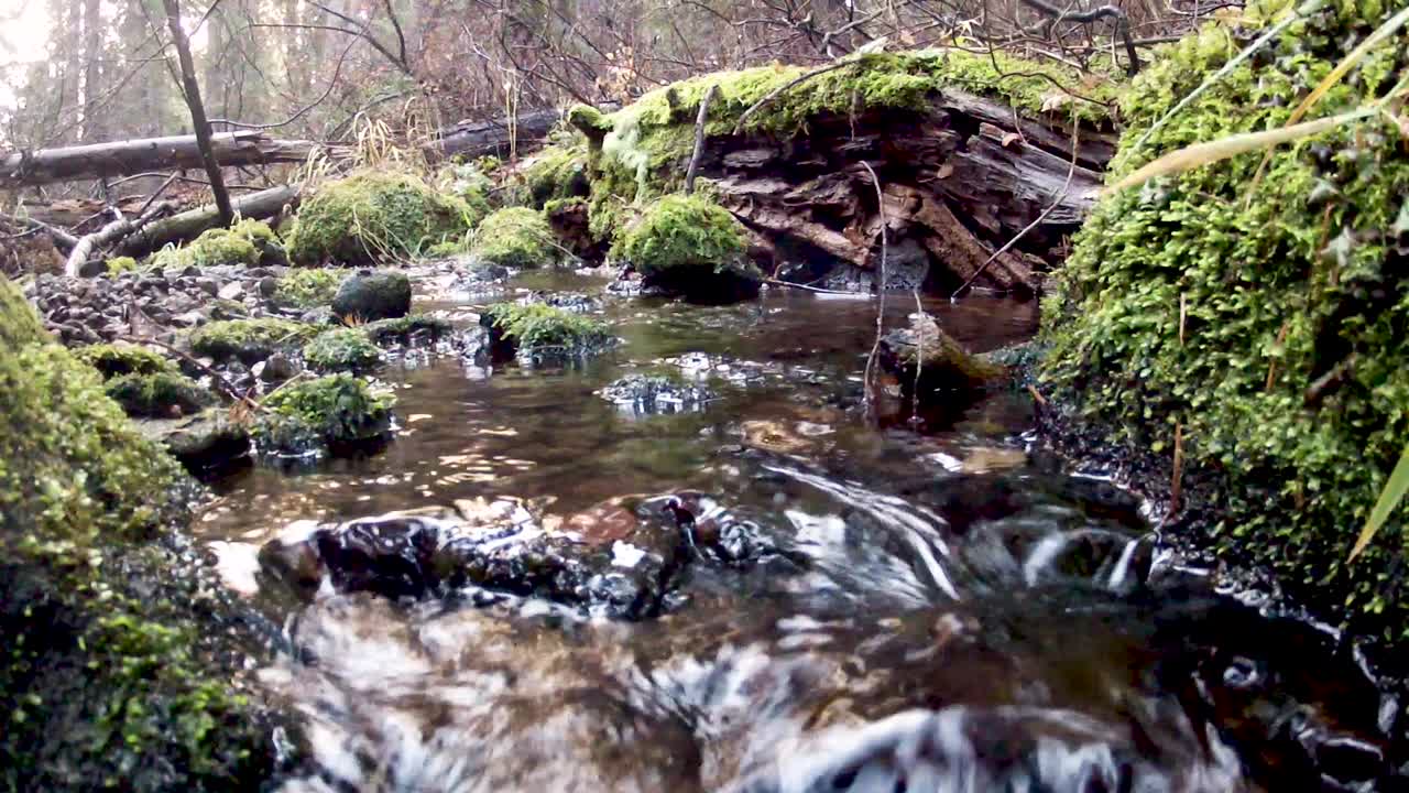 arroyo remoto que fluye debajo de la cámara