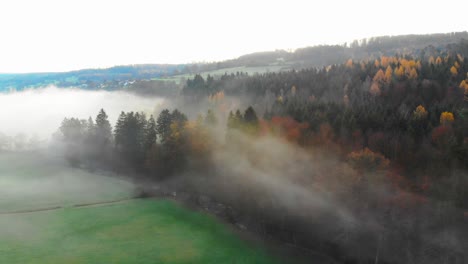 Vuelo-Sobre-El-Bosque-De-Colores-Otoñales-Por-La-Mañana