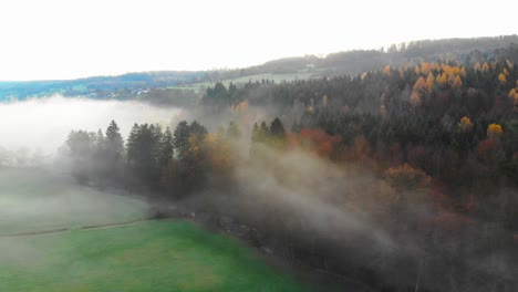 flight over autumn colored forest in the morning