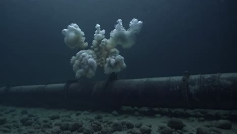 underwater pipeline damage releasing white billowing smoke, creating cloudy plume dispersing through dark surrounding marine environment from industrial infrastructure failure