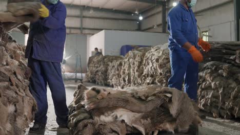 factory workers organizing skids of raw animal hides for processing in a leather manufacturing plant.