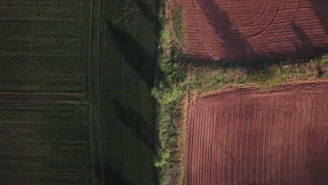 vista aérea de arriba hacia abajo de las colinas en polonia