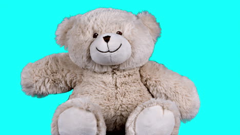 teddy bear image