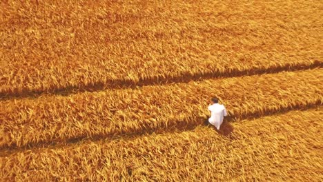 aerial view of scientist walking through fields