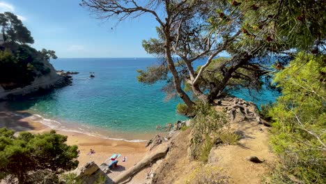 Costa-Brava-Preciosa-Playa-Virgen-Con-Aguas-Transparentes-Color-Turquesa-Frondosa-Vegetacion-De-Pinos-Y-Rocas-Arena-Amarilla-Poca-Gente-Gerona-Cataluña-Mediterraneo-Vistas-Tossa-De-Mar-Cala-Llevad?