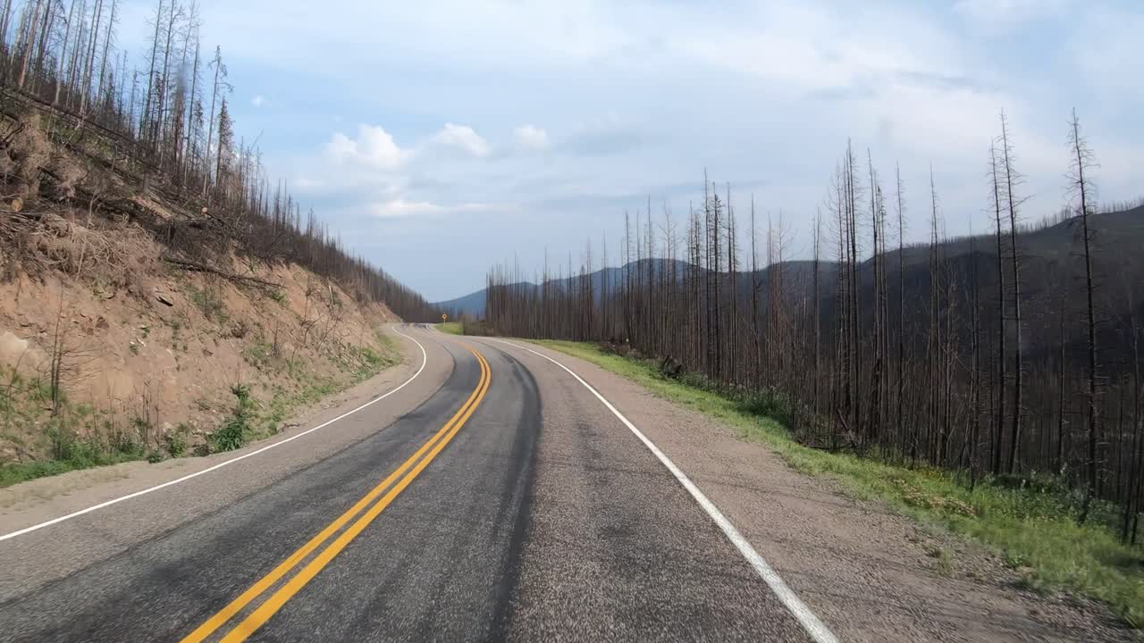 Visão frontal da câmera do painel enquanto dirige pela Alaska Highway, no Canadá, mostrando uma floresta queimada ao lado da estrada, que sobe em um terreno montanhoso sob a luz lateral do sol baixo