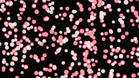 Pink and White Star Pattern on Black Background