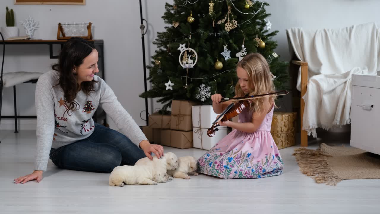 Девушка играет на скрипке.