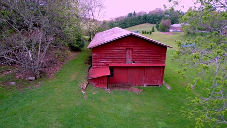 aerial-push-past-tree-branch-toward-red-barn-on-farm-near-boone-and-blowing-rock-nc,-north-carolin