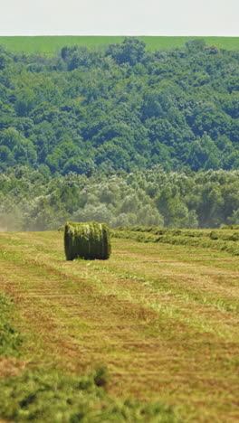 round bales on the field and agricultural machinery working outdoors. seasonal works for harvesting green grass for livestock in nature. vertical video