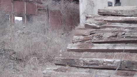 Tilt-shot-of-an-abandoned-factory-that-is-being-reclaimed-by-nature