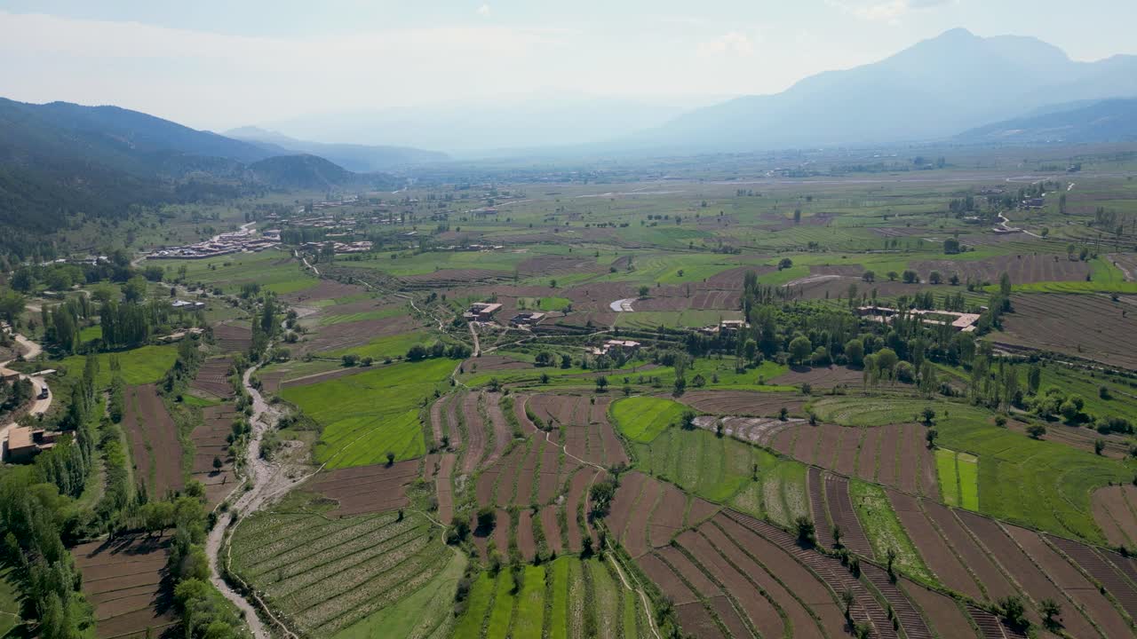 árboles exuberantes en el entorno agrícola
