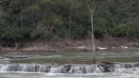 Breiter-Fluss,-Der-über-Ein-Natürliches-Wehr-Fließt,-An-Dem-Eine-Gans-Vorbeifliegt