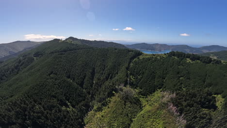helicopter pov flying over the marlborough sounds, new zealand