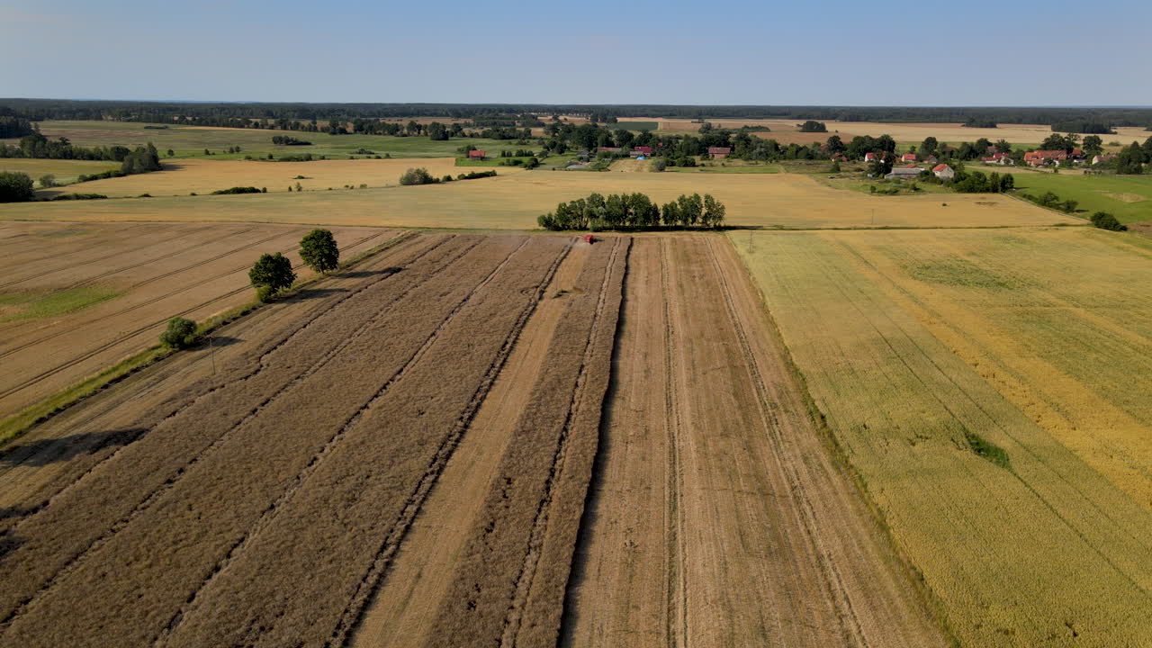 Weite europäische Ackerflächen in Polen, Luftaufnahme während der Gerstenernte