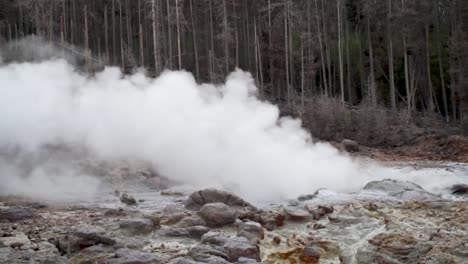 steamboat geyser in the norris geyser basin in yellowstone national park