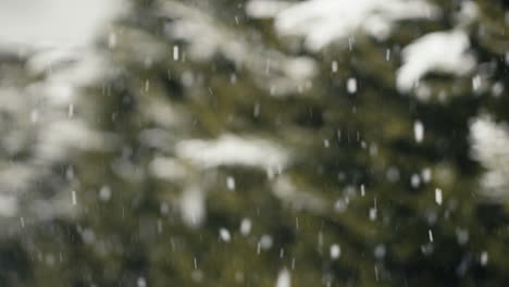 slow motion snow falling