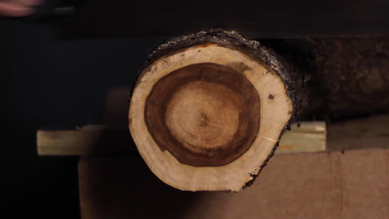 목수가 작업장에서 작업 테이블 끝에 있는 두껍고 큰 나무 줄기를 통해 톱질하는 것을 지켜보는 것